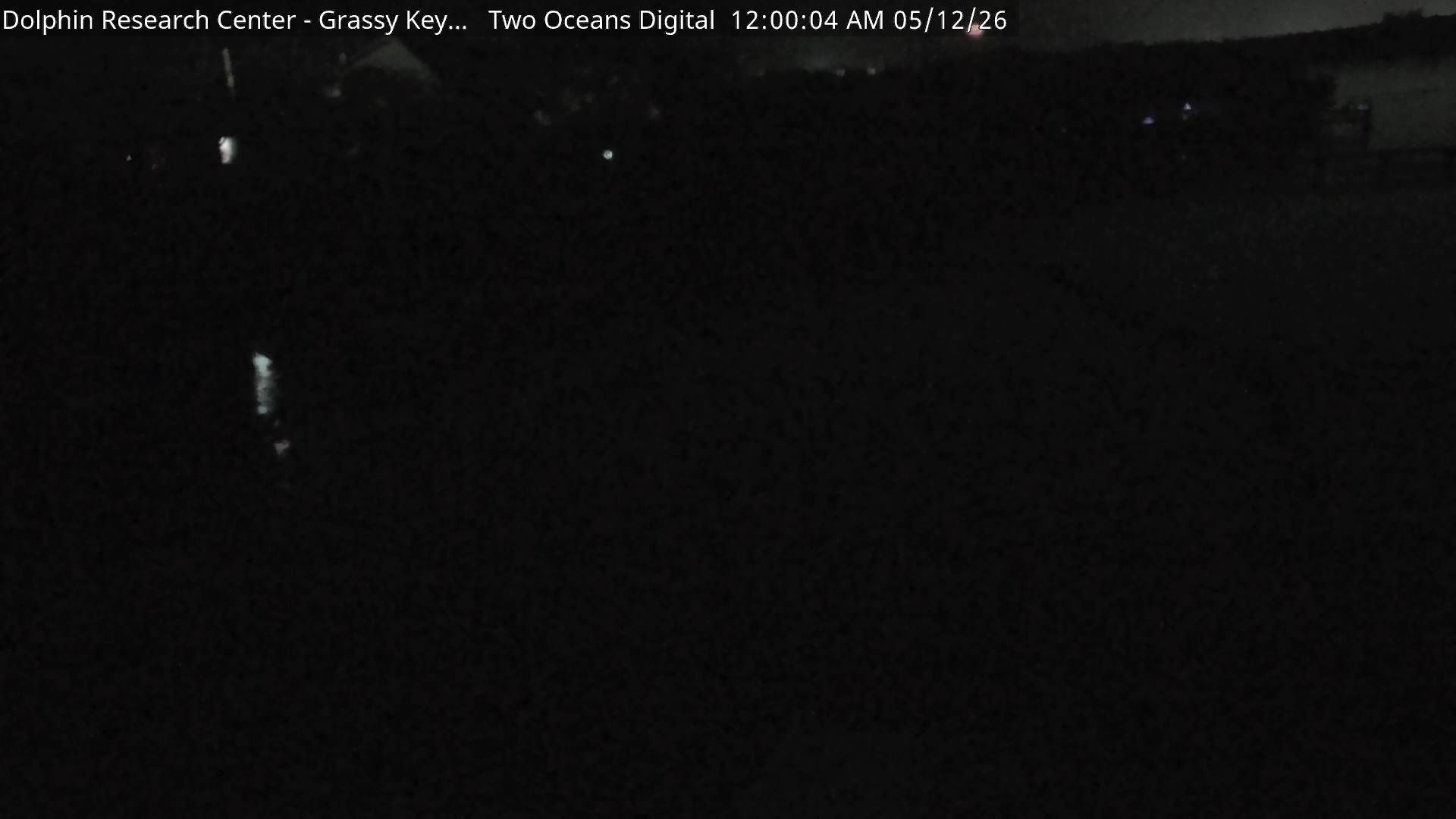 Webcam preview