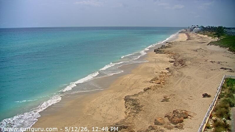 Webcam preview