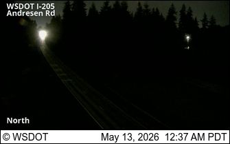 Webcam preview