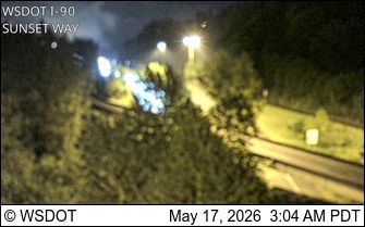 Webcam preview