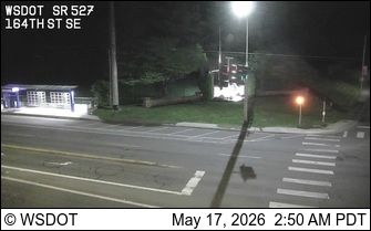 Webcam preview