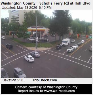 Webcam preview