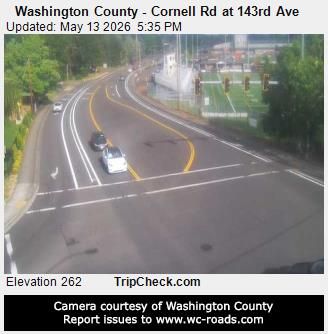 Webcam preview