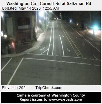 Webcam preview