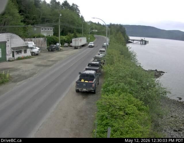 Webcam preview