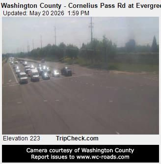Webcam preview