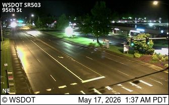 Webcam preview