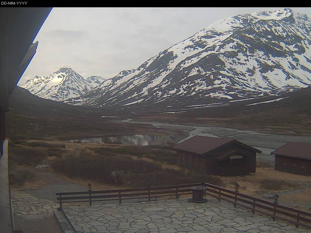 Webcam preview
