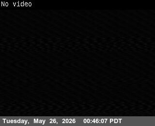 Webcam preview