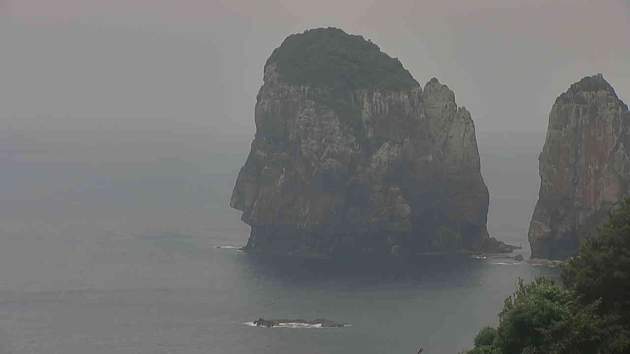Webcam preview