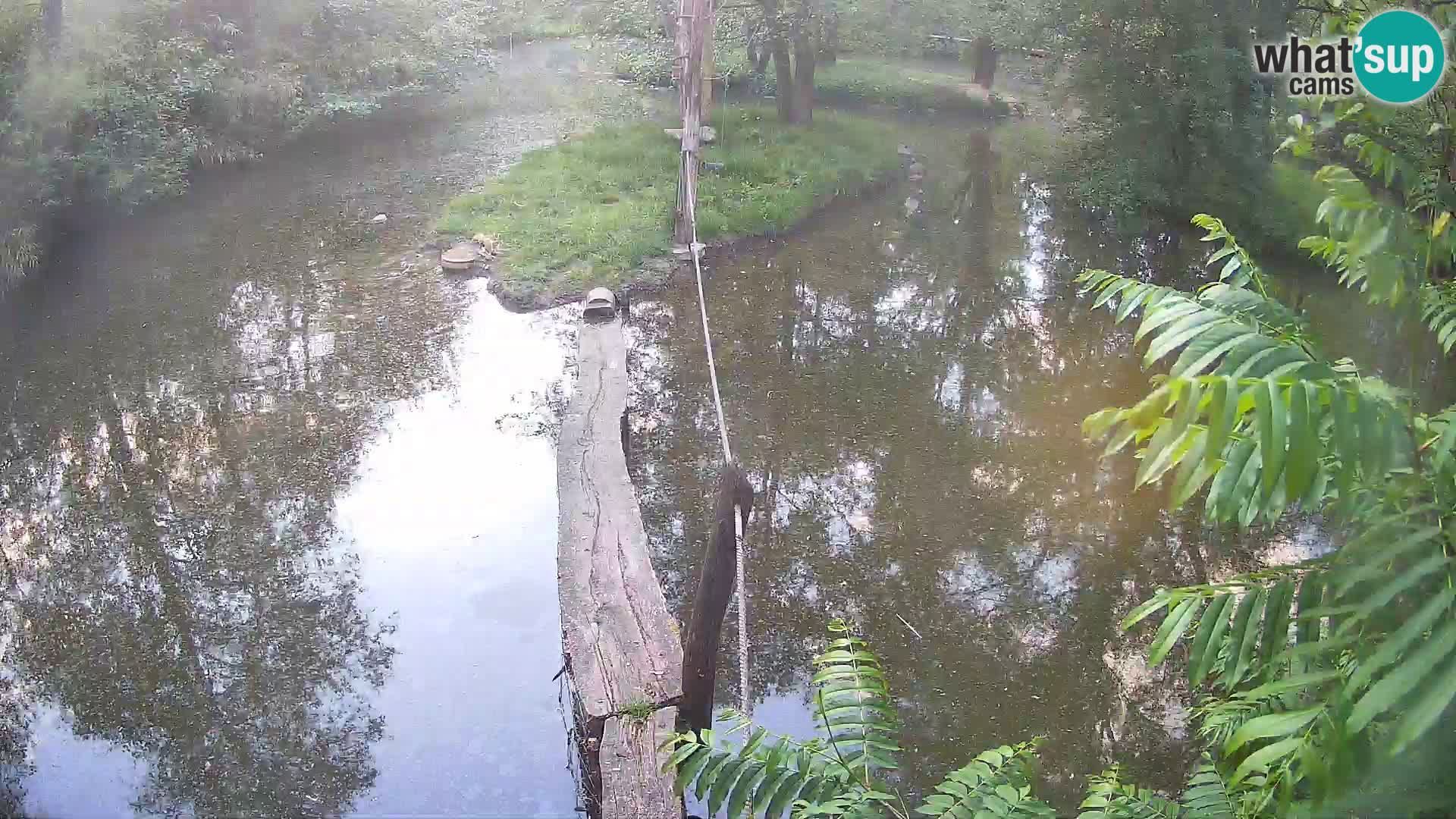 Webcam preview