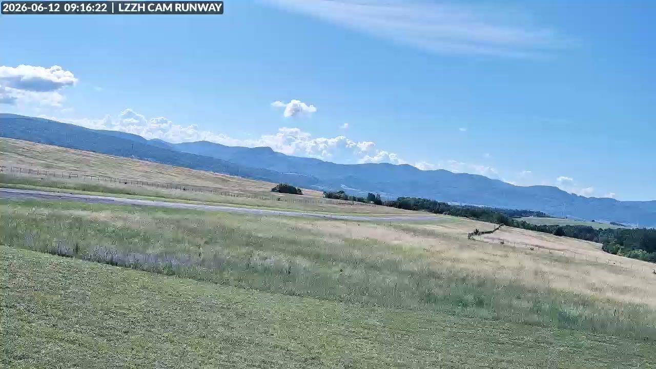 Webcam preview
