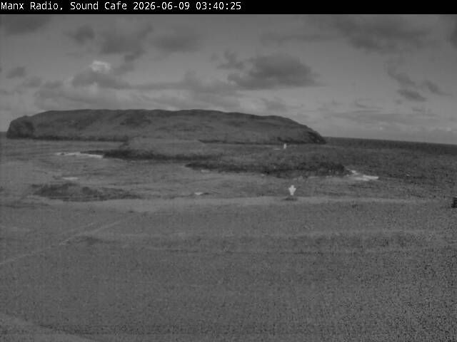 Webcam preview