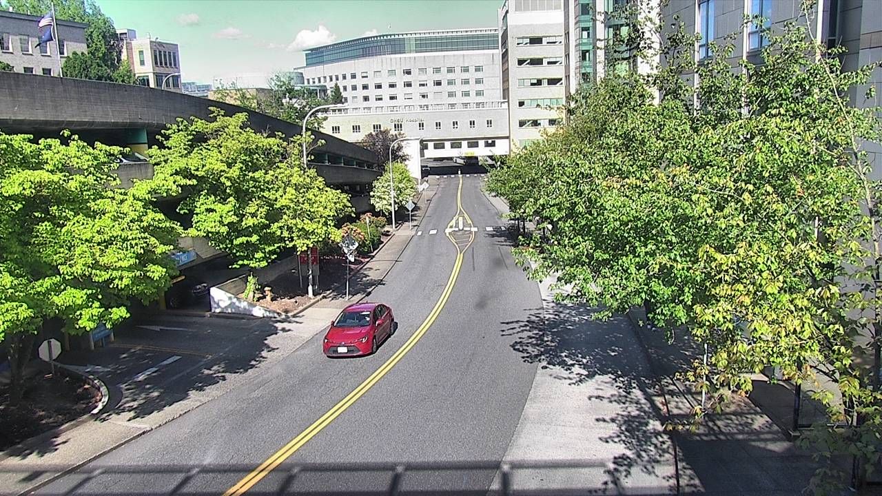 Webcam preview
