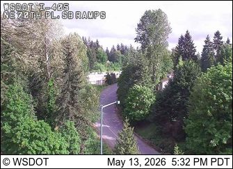 Webcam preview