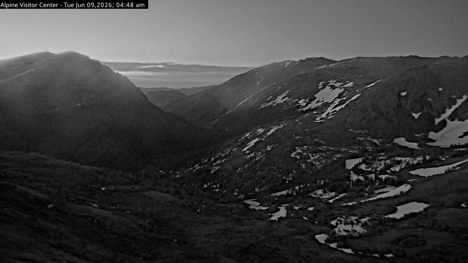 Webcam preview