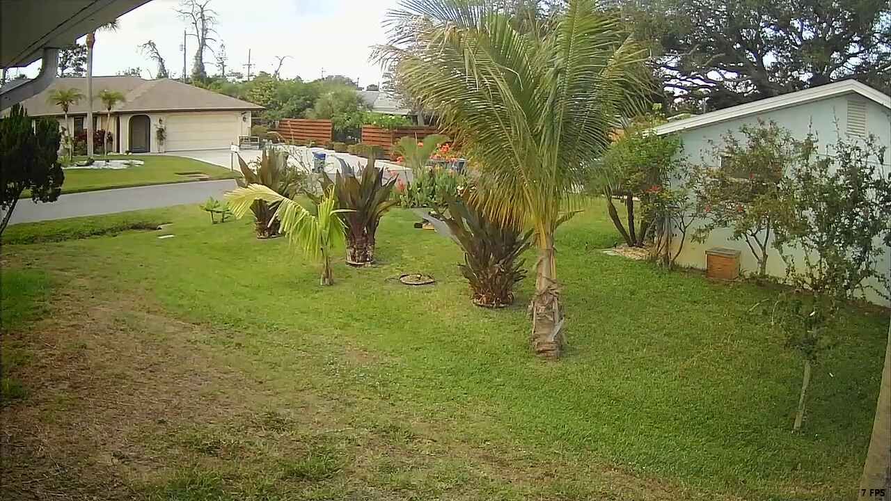 Webcam preview