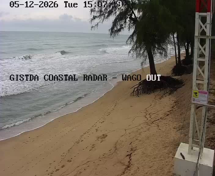 Webcam preview