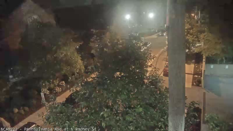 Webcam preview