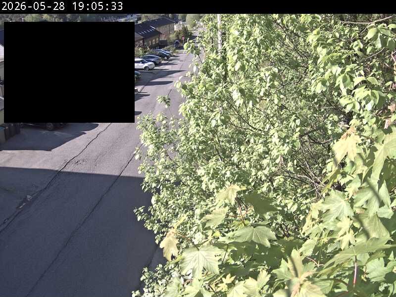 Webcam preview