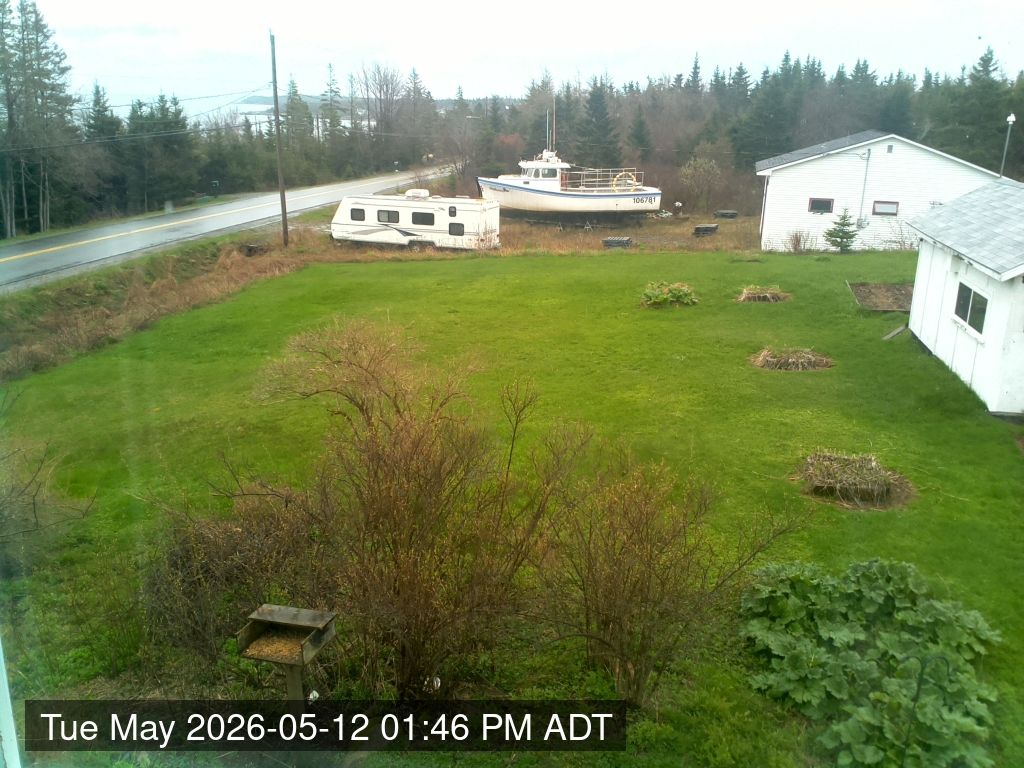 Webcam preview
