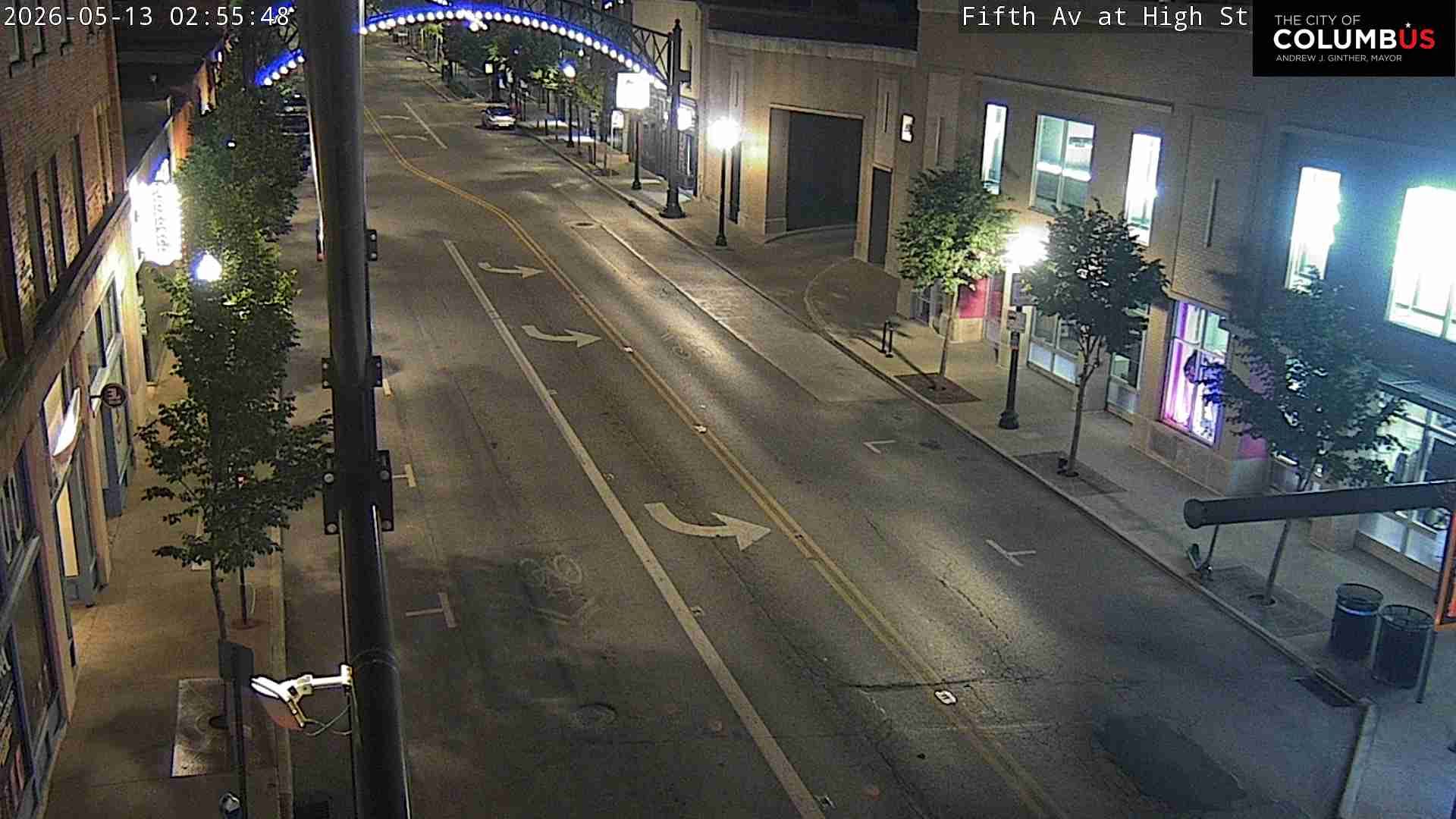 Webcam preview
