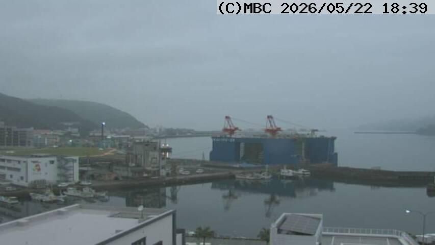 Webcam preview
