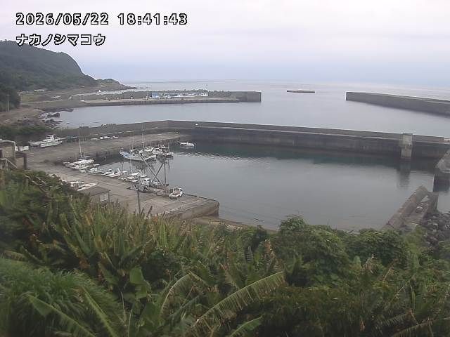 Webcam preview