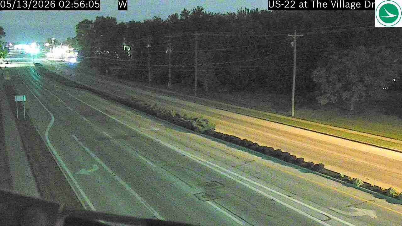 Webcam preview