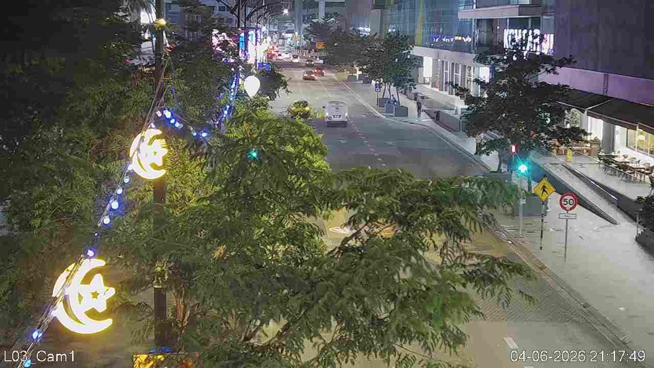 Webcam preview