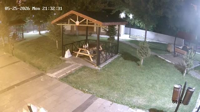 Webcam preview