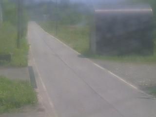 Webcam preview