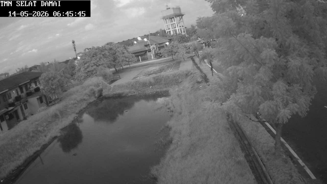 Webcam preview