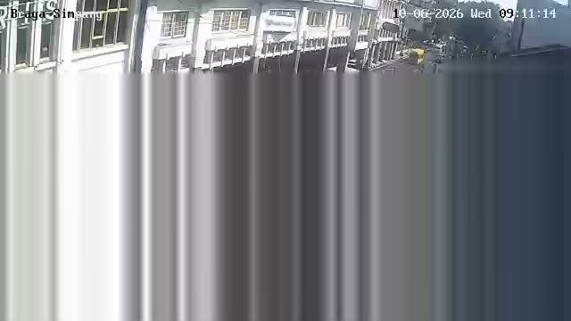 Webcam preview