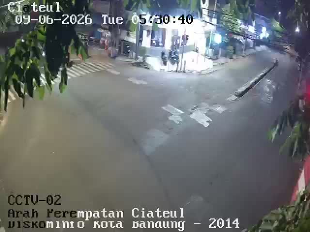 Webcam preview