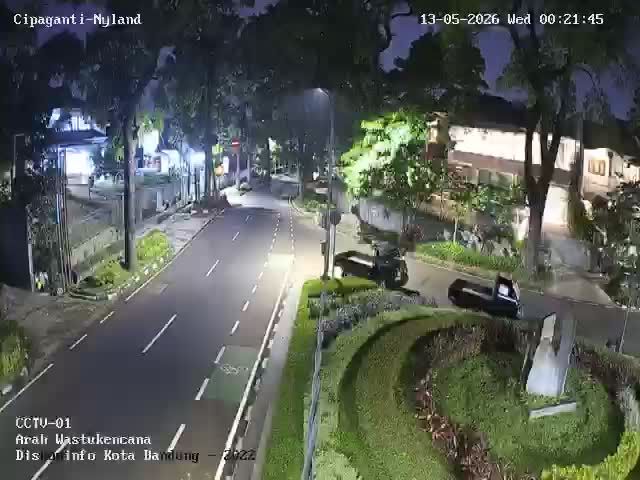 Webcam preview