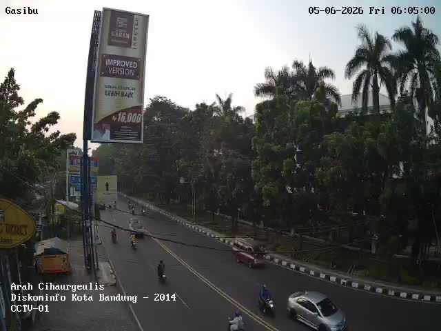 Webcam preview