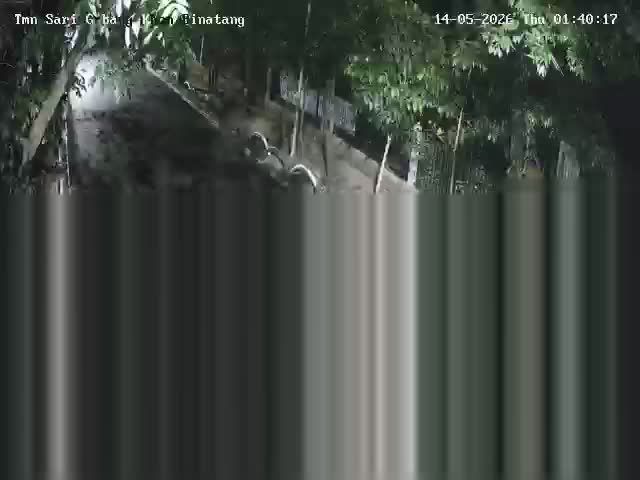 Webcam preview