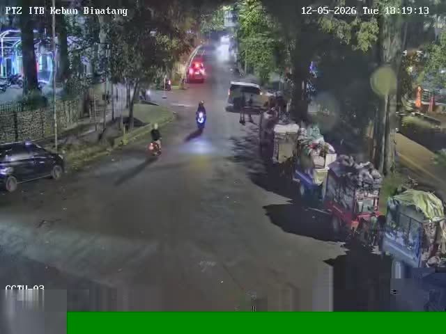 Webcam preview