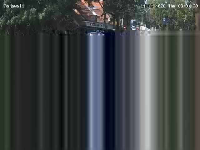 Webcam preview