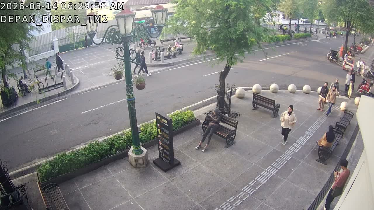 Webcam preview
