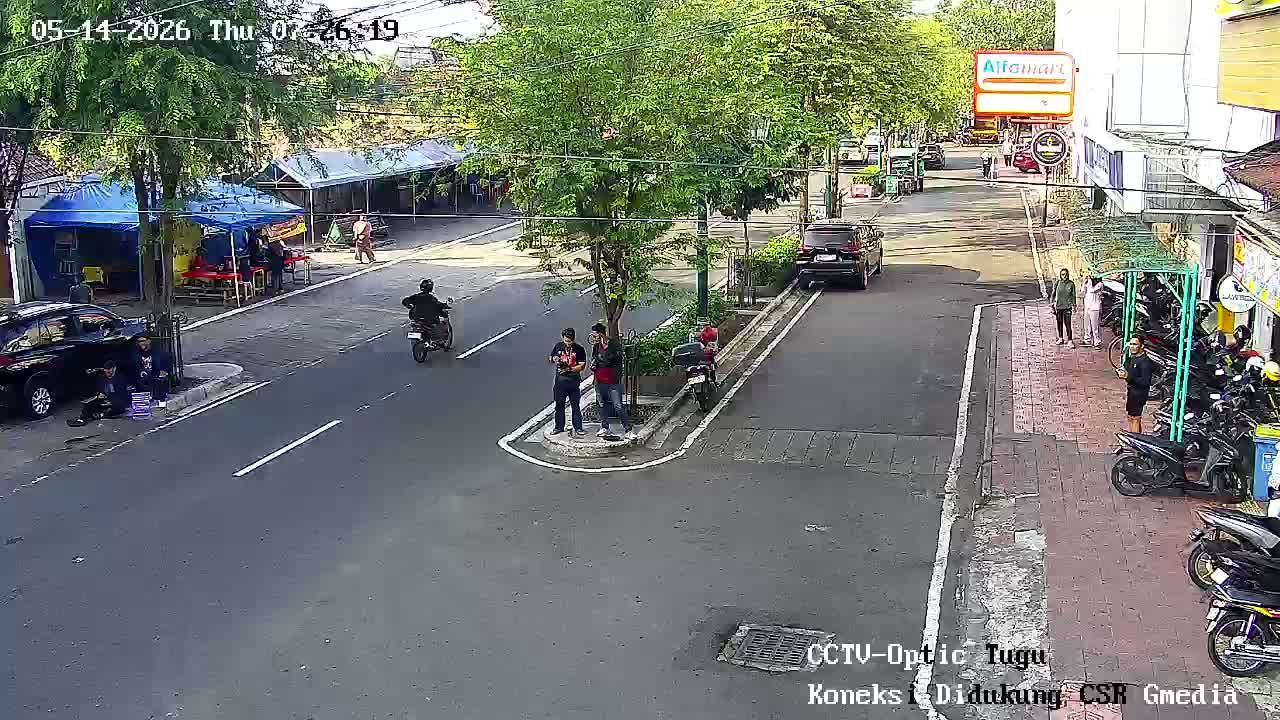 Webcam preview