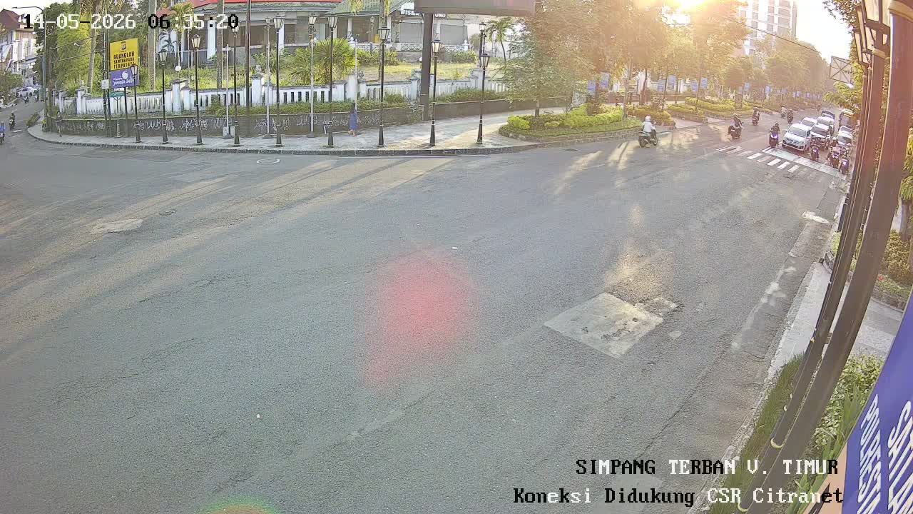 Webcam preview