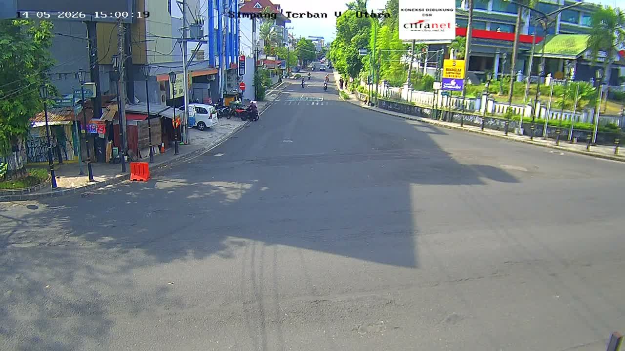 Webcam preview