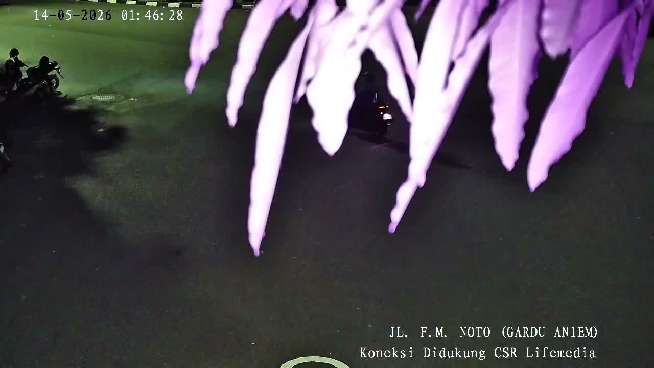 Webcam preview