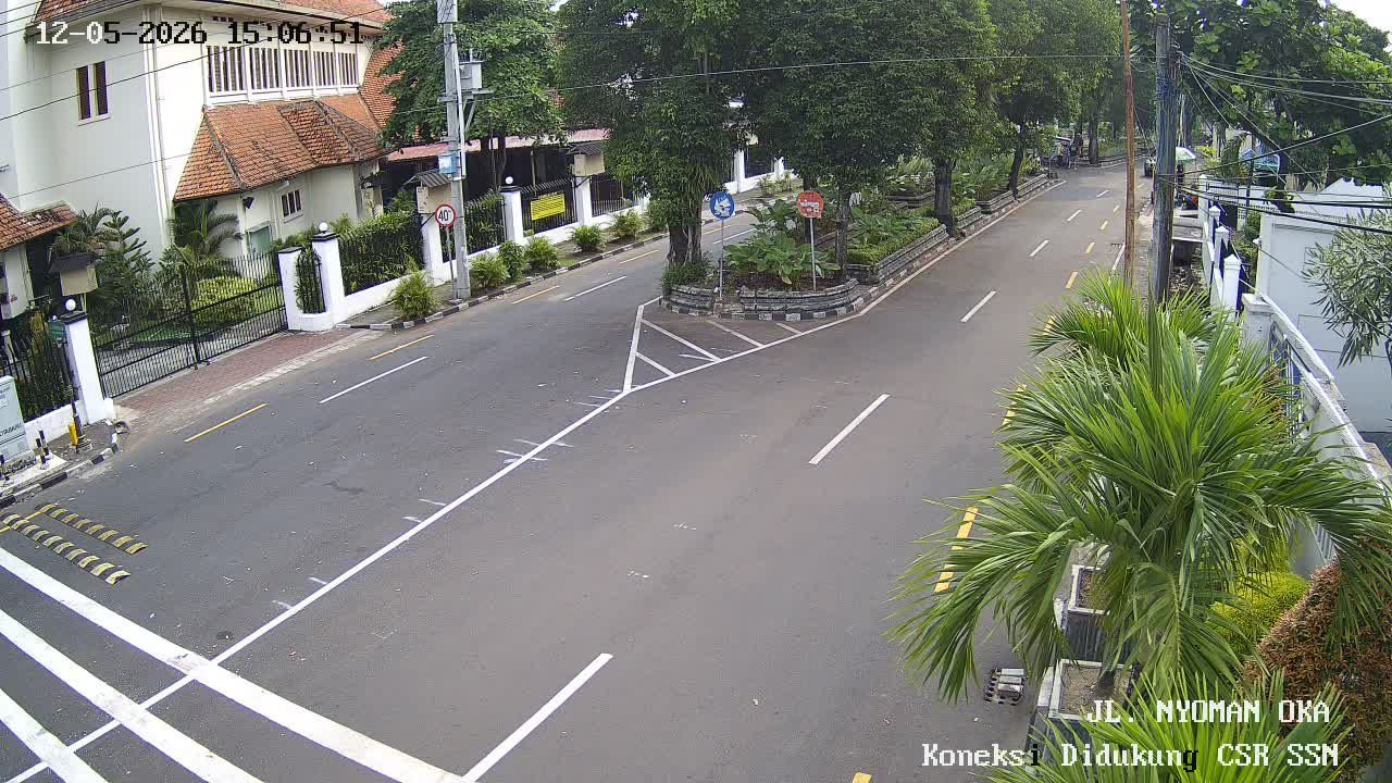 Webcam preview