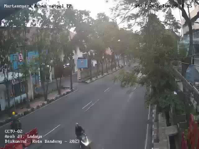 Webcam preview