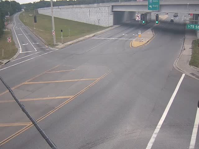 Webcam preview