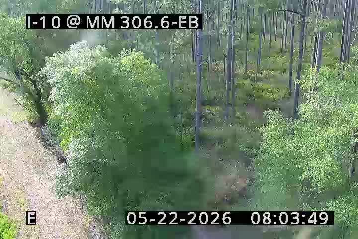 Webcam preview