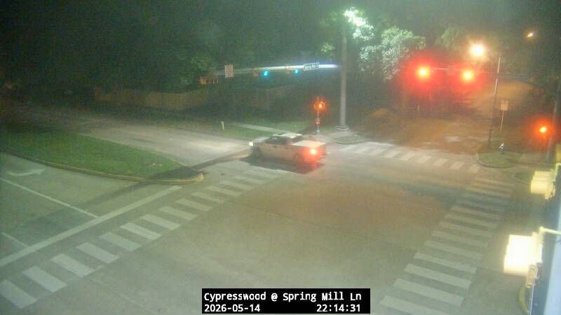 Webcam preview
